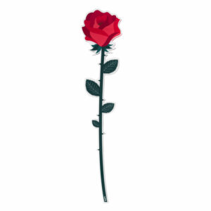 Rosa      Funny   Flowers