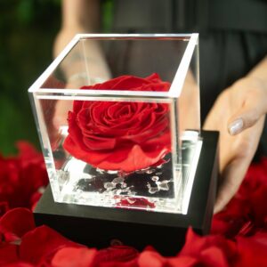 FLOWERCUBE ROSSO
