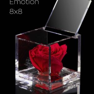 FLOWERCUBE ROSSO 8x8